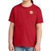 Youth Softstyle ® Midweight Tee Thumbnail
