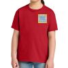 Youth Softstyle ® Midweight Tee Thumbnail